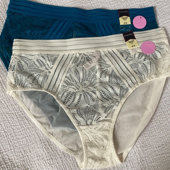 Ambrielle Other - Set of 2 mesh&lace modern briefs NWT beautiful fit, flattering fit and details